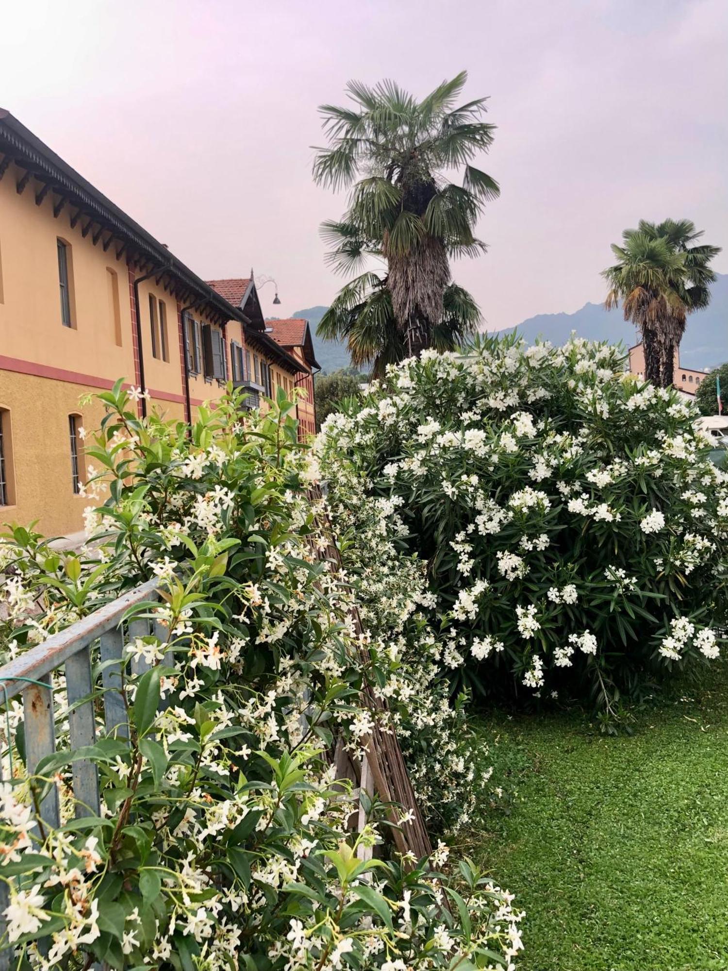 Roggia Maestra B&B Schio Exterior foto